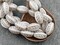 *10* 15x9mm Metallic Beige Washed White Alabaster Luster Twisted Oval Beads